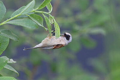 BUITEN BEELD Foto: 422475