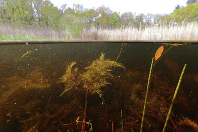BUITEN BEELD Foto: 422622