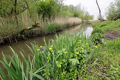 BUITEN BEELD Foto: 422625