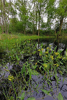 BUITEN BEELD Foto: 422626