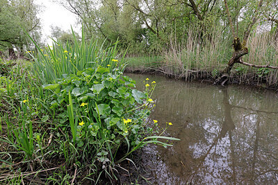 BUITEN BEELD Foto: 422636