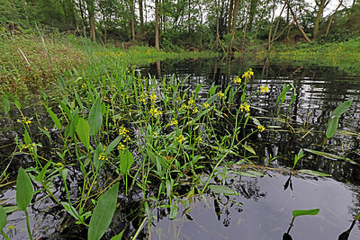 BUITEN BEELD Foto: 422643