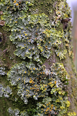 BUITEN BEELD Foto: 422647
