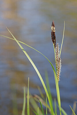 BUITEN BEELD Foto: 422662