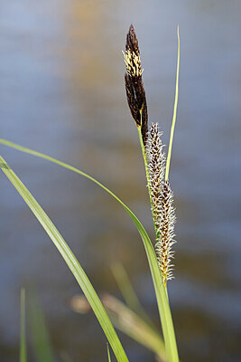 BUITEN BEELD Foto: 422700