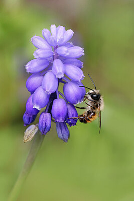 BUITEN BEELD Foto: 422748