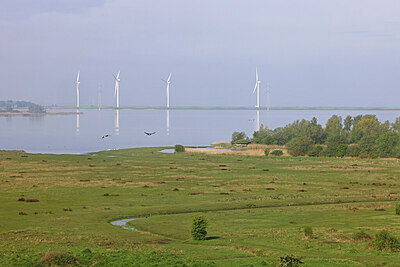 BUITEN BEELD Foto: 422769