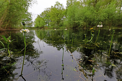 BUITEN BEELD Foto: 422772