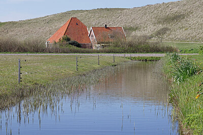 BUITEN BEELD Foto: 422781