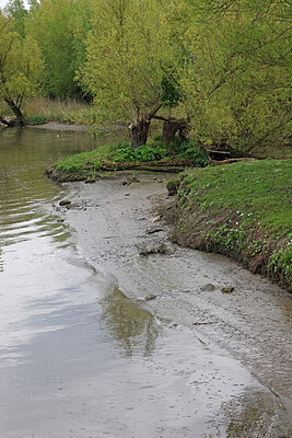 BUITEN BEELD Foto: 422791