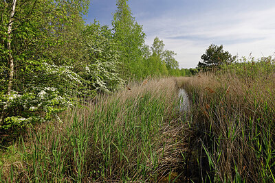 BUITEN BEELD Foto: 422808