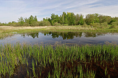 BUITEN BEELD Foto: 422811