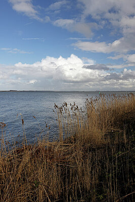 BUITEN BEELD Foto: 422817