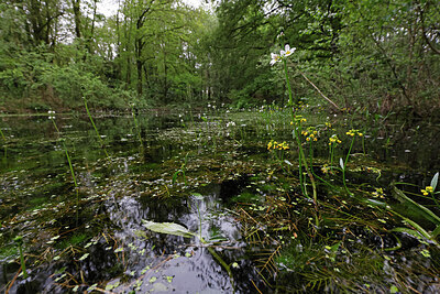 BUITEN BEELD Foto: 422830
