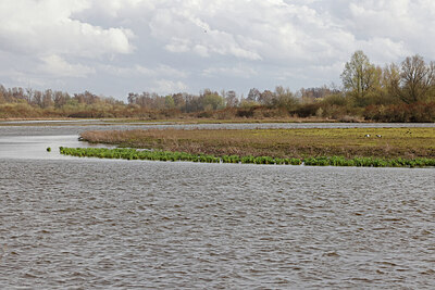 BUITEN BEELD Foto: 422839