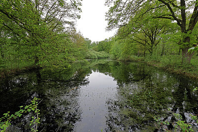 BUITEN BEELD Foto: 422840
