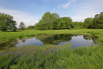 BUITEN BEELD Foto: 422844