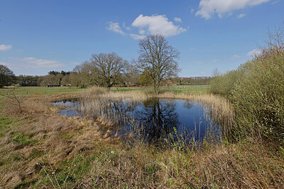 BUITEN BEELD Foto: 422847