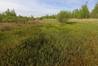 BUITEN BEELD Foto: 422851