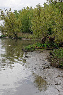 BUITEN BEELD Foto: 422853