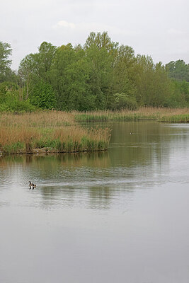 BUITEN BEELD Foto: 422854