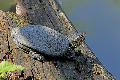 BUITEN BEELD Foto: 422869