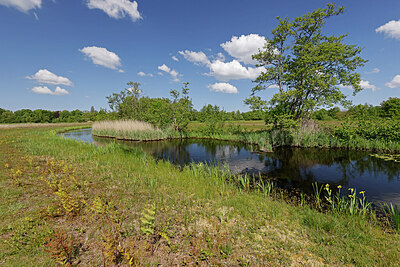 BUITEN BEELD Foto: 423167