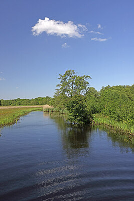 BUITEN BEELD Foto: 423169