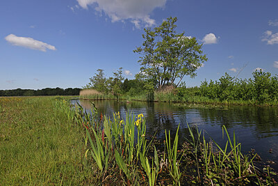 BUITEN BEELD Foto: 423170