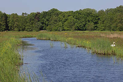 BUITEN BEELD Foto: 423183