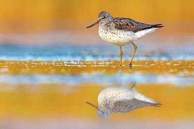 BUITEN BEELD Foto: 423939