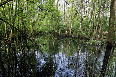 BUITEN BEELD Foto: 424118