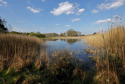 BUITEN BEELD Foto: 424121