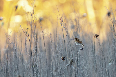 BUITEN BEELD Foto: 424150