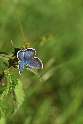 BUITEN BEELD Foto: 424193