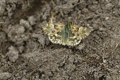 BUITEN BEELD Foto: 424322