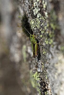 BUITEN BEELD Foto: 424323