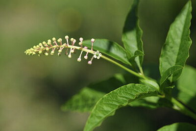 BUITEN BEELD Foto: 424559