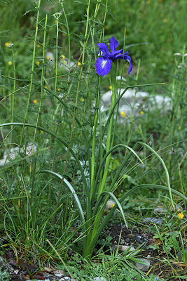 BUITEN BEELD Foto: 424565