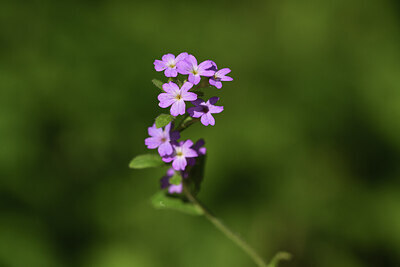 BUITEN BEELD Foto: 424667