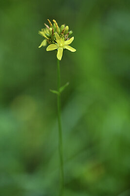 BUITEN BEELD Foto: 424725