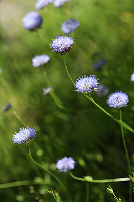 BUITEN BEELD Foto: 424749