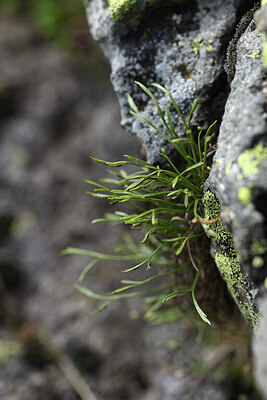 BUITEN BEELD Foto: 424793