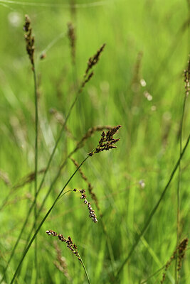 BUITEN BEELD Foto: 424871