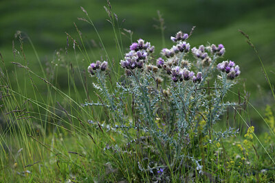 BUITEN BEELD Foto: 424888