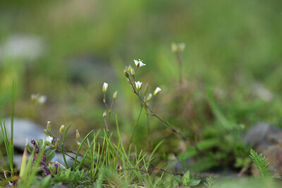 BUITEN BEELD Foto: 424897