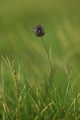 BUITEN BEELD Foto: 424911