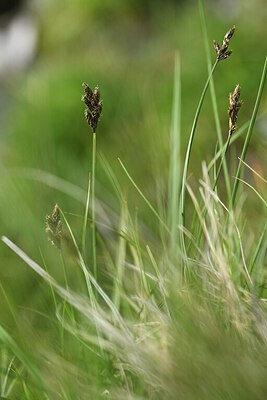 BUITEN BEELD Foto: 424924