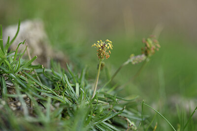 BUITEN BEELD Foto: 424926