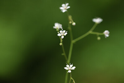 BUITEN BEELD Foto: 424970